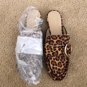 Ann Taylor Thalia Pipe Hcalf Buckle Slide